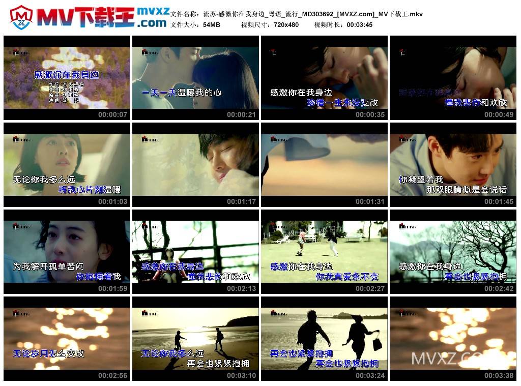 流苏-感激你在我身边_粤语_流行_MD303692